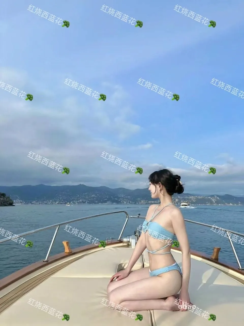 红烧西蓝花(22.7GB 494P 626V)-acgclub